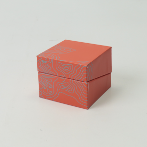 custom beveled edge rigid box | luxury flip top packaging (复制)